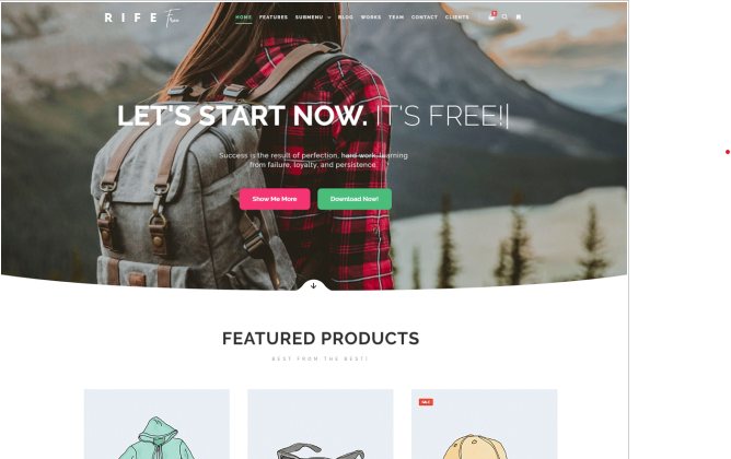 The best free WordPress themes for ecommerce websites